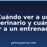 Cuándo ver a un veterinario y cuándo ver a un entrenador Cuándo ver a un veterinario y cuándo ver a un entrenador