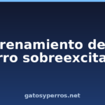Entrenamiento de un perro sobreexcitado