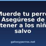 ¿Muerde tu perro? Asegúrese de mantener a los niños a salvo ¿Muerde tu perro? Asegúrese de mantener a los niños a salvo