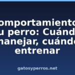 El comportamiento de tu perro: Cuándo manejar, cuándo entrenar