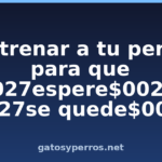 Entrenar a tu perro para que $0027espere$0027 y $0027se quede$0027. Entrenar a tu perro para que $0027espere$0027 y $0027se quede$0027.