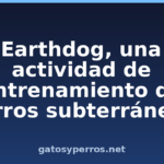 Earthdog, una actividad de entrenamiento de perros subterráneos Earthdog, una actividad de entrenamiento de perros subterráneos