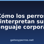 Cómo los perros interpretan su lenguaje corporal