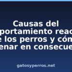 Causas del comportamiento reactivo de los perros y cómo entrenar en consecuencia