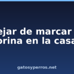Dejar de marcar la orina en la casa
