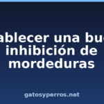 Establecer una buena inhibición de mordeduras