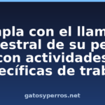 Cumpla con el llamado ancestral de su perro con actividades específicas de trabajo