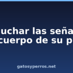Escuchar las señales del cuerpo de su perro