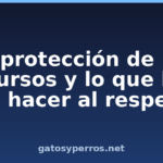 La protección de los recursos y lo que hay que hacer al respecto La protección de los recursos y lo que hay que hacer al respecto