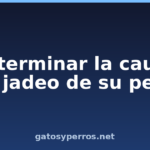 Determinar la causa del jadeo de su perro