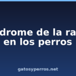 Síndrome de la rabia en los perros