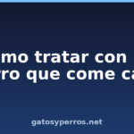 Cómo tratar con un perro que come caca