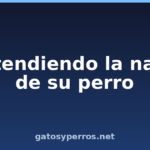 Entendiendo la nariz de su perro Entendiendo la nariz de su perro