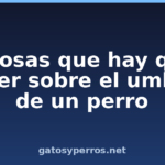5 cosas que hay que saber sobre el umbral de un perro