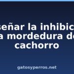 Enseñar la inhibición de la mordedura de un cachorro Enseñar la inhibición de la mordedura de un cachorro