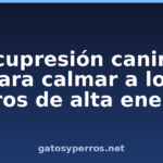 Acupresión canina para calmar a los perros de alta energía