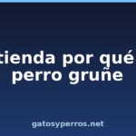 Entienda por qué su perro gruñe