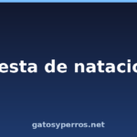 ¿Fiesta de natación?