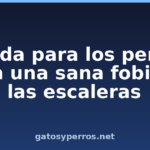 Ayuda para los perros con una sana fobia a las escaleras Ayuda para los perros con una sana fobia a las escaleras