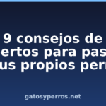 9 consejos de expertos para pasear a sus propios perros