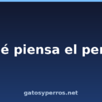 ¿Qué piensa el perro?
