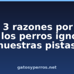 Las 3 razones por las que los perros ignoran nuestras pistas