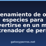 Entrenamiento de otras especies para convertirse en un mejor entrenador de perros