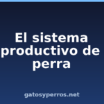 El sistema reproductivo de la perra