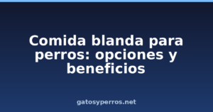 Comida blanda para perros: opciones y beneficios