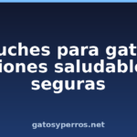 Chuches para gatos: opciones saludables y seguras