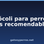 Brócoli para perros: ¿es recomendable?