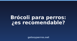 Brócoli para perros: ¿es recomendable?