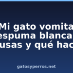 Mi gato vomita espuma blanca: causas y qué hacer Mi gato vomita espuma blanca: causas y qué hacer