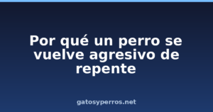Por qué un perro se vuelve agresivo de repente