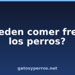 ¿Pueden comer fresas los perros?