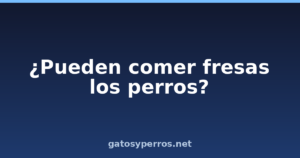 ¿Pueden comer fresas los perros?