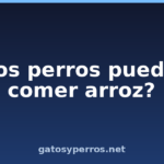 ¿Los perros pueden comer arroz?