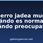 Mi perro jadea mucho: cuándo es normal y cuándo preocuparse