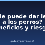 ¿Se le puede dar leche a los perros? beneficios y riesgos