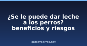 ¿Se le puede dar leche a los perros? beneficios y riesgos