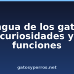 Lengua de los gatos: curiosidades y funciones