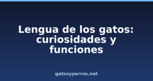 Lengua de los gatos: curiosidades y funciones