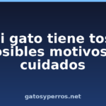 Mi gato tiene tos: posibles motivos y cuidados