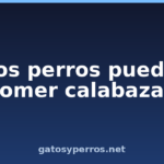 ¿Los perros pueden comer calabaza?