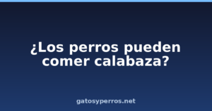 ¿Los perros pueden comer calabaza?