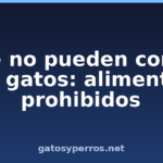 Qué no pueden comer los gatos: alimentos prohibidos