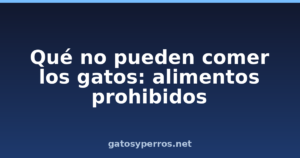 Qué no pueden comer los gatos: alimentos prohibidos
