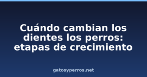 Cuándo cambian los dientes los perros: etapas de crecimiento