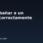 Cómo bañar a un perro correctamente
