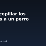Cómo cepillar los dientes a un perro